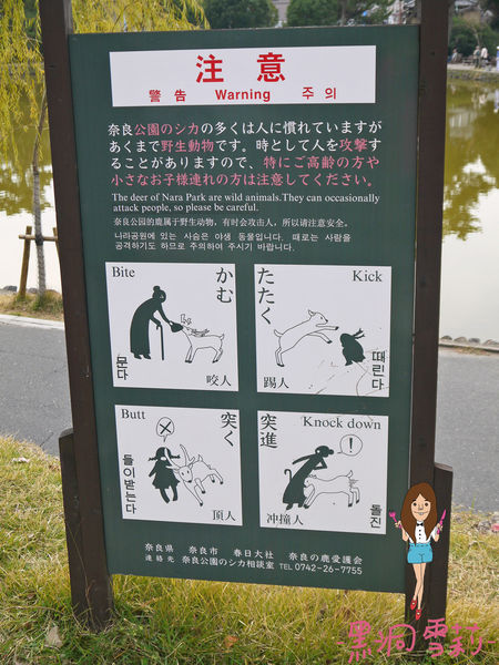 奈良公園-18.jpg